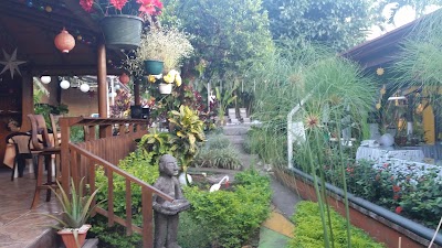 Photos of Hotel Brilla Sol