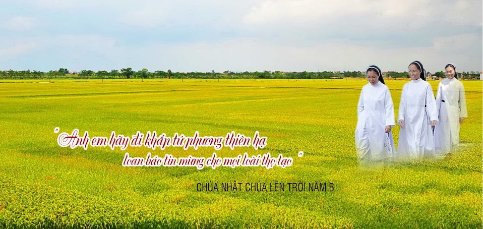 2016-07-30: Chúa Nhật 18C Quanh Năm