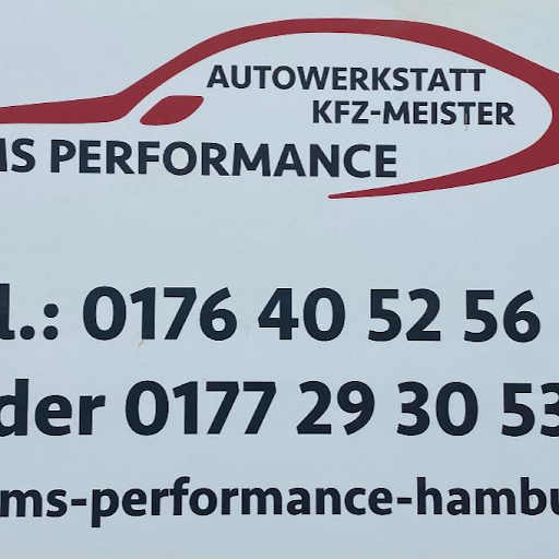 MS PERFORMANCE logo