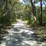 The squeezway near Lilyvale track (33305)