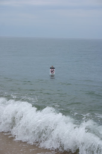 Race Point Beach