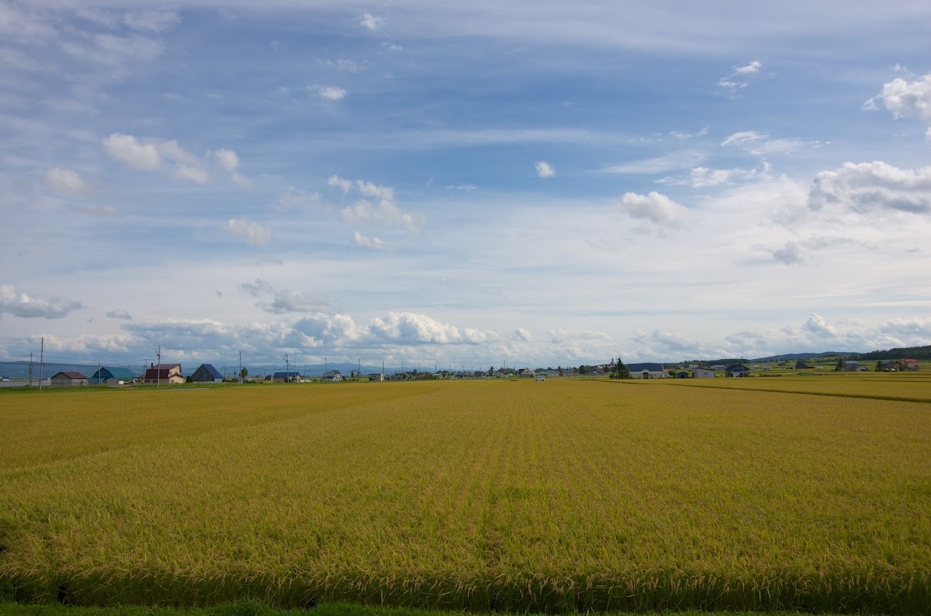 黄金の大地