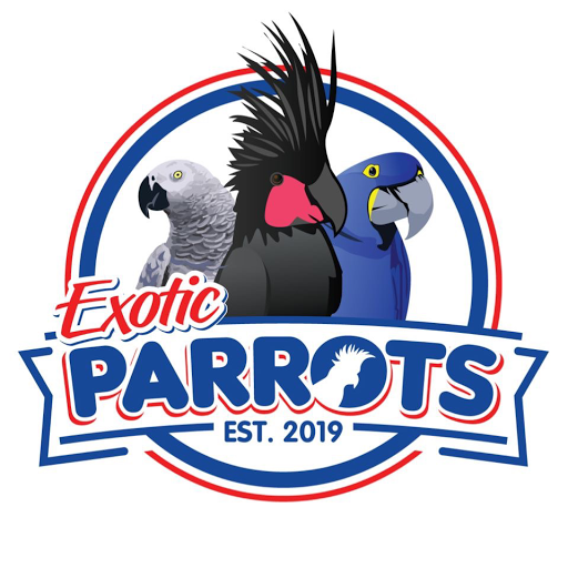 Exotic Parrots LLC