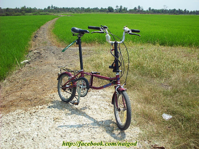 รูปภาพ