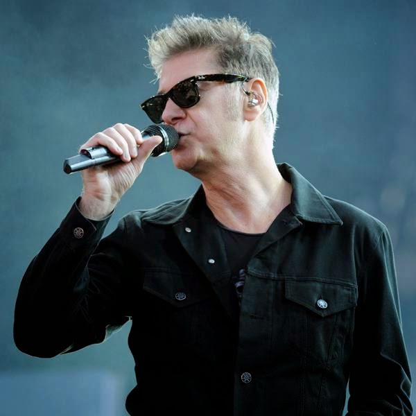 French singer Etienne Daho performs on July 20, 2014 during the 23rd edition of the Festival des Vieilles Charrues in Carhaix-Plouguer, western France.