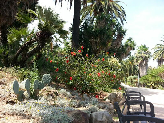 Jardins Mossèn Costa i Llobera