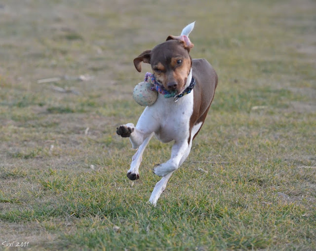 DSC_5641.JPG