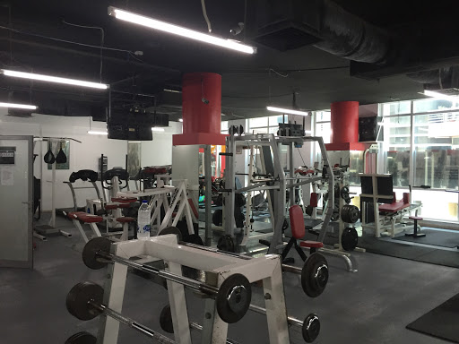 Unifit Gym, Zabeel Road - Dubai - United Arab Emirates, Gym, state Dubai