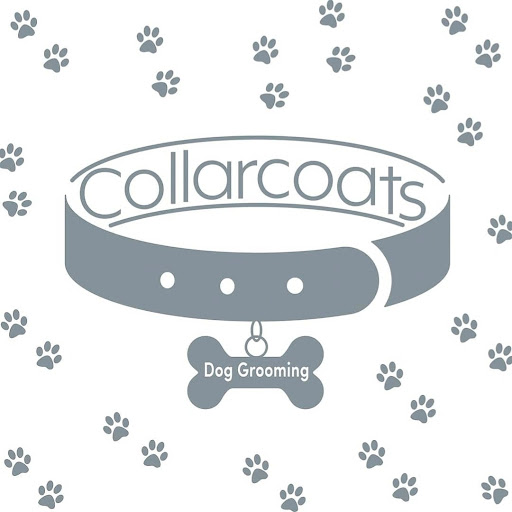 Collarcoats Dog Grooming