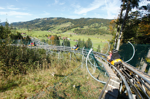 Alpsee Bergwelt