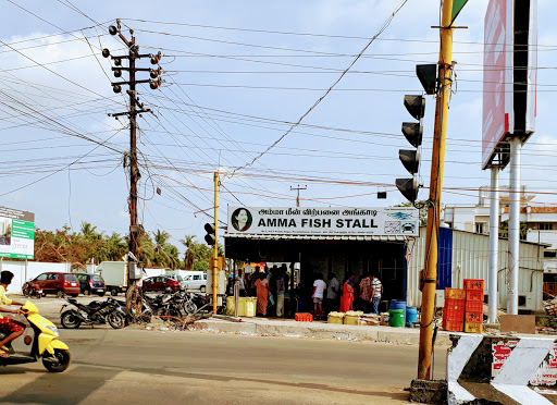Amma Fish Stall, Perumbakkam Main Rd, VGP Prabhu Nagar, Medavakkam, Chennai, Tamil Nadu 600100, India, Tropical_Fish_Shop, state TN