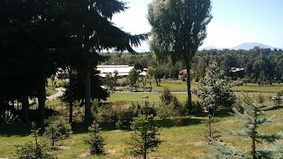 museum