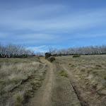 Walking along Round Mountain Trail (289166)