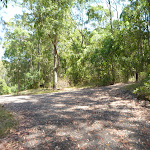 Trail by pond in Richley Reserve in Blackbutt Reserve (401638)