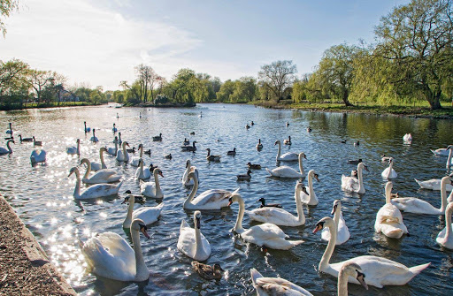 Harrow Lodge Park