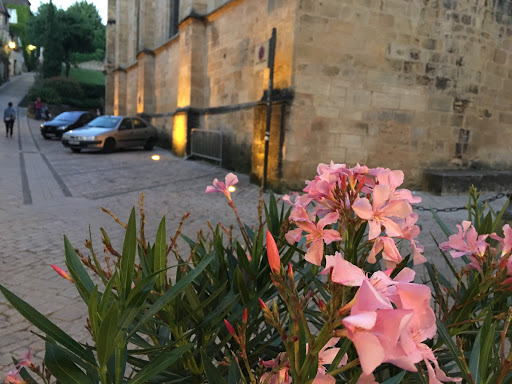 Cathédrale Saint-Sacerdos de Sarlat