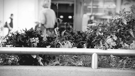 La Voce degli Studenti » 2012 » marzo