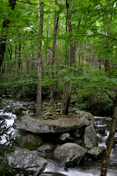 Национальный Парк Грейт-Смоки-Маунтинс, Теннесси (Smoky Mountains, Tennessee)