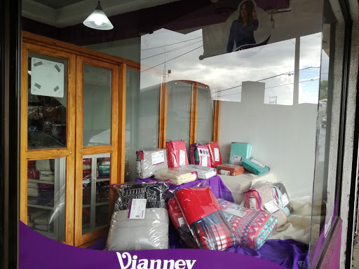 Vianney, 33800, 20 de Nov. 61, Centro, Hidalgo del Parral, Chih., México, Tienda de artículos para el hogar | CHIH
