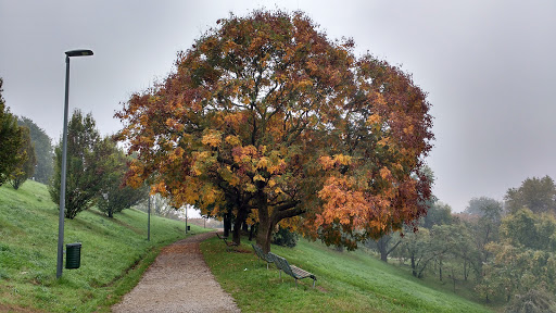 Parco Monte Stella