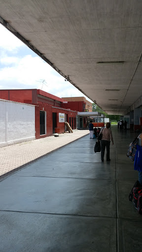 Flecha Amarilla, Estaciones 90, Allende, 37760 San Miguel de Allende, Gto., México, Agencia de excursiones en autobús | GTO
