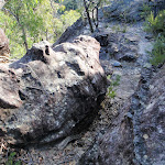 Track on ledge between Pisgah Rock and Erskine Creek (143916)