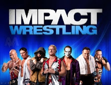 TNA IMPACT Wrestling 2013/04/25