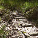 Timber steps on a steep hill Watagan Creek valley (363293)