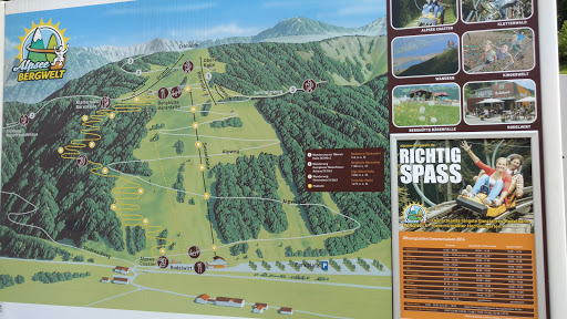 Alpsee Bergwelt