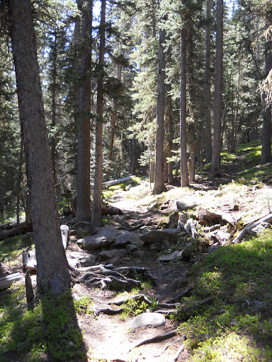 DSCN5076.JPG
