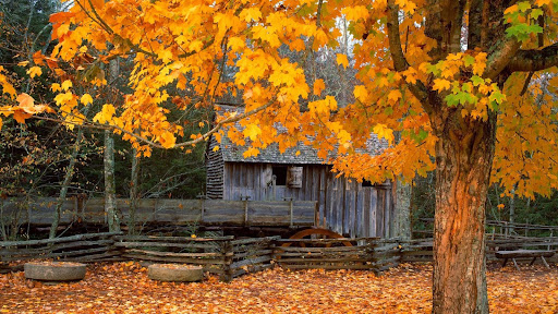 John Cable Mill, Cades Cove, Great Smoky Mountains National Park, Tennessee.jpg