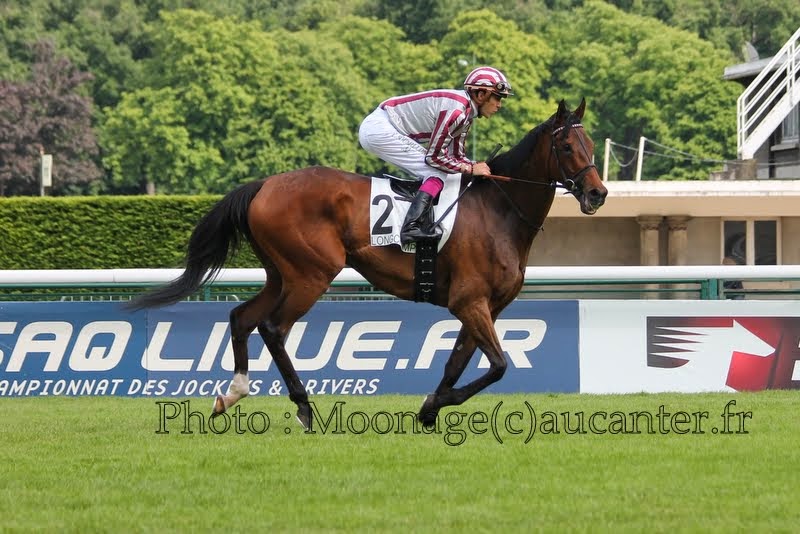 Cirrus des Aigles IMG_1354