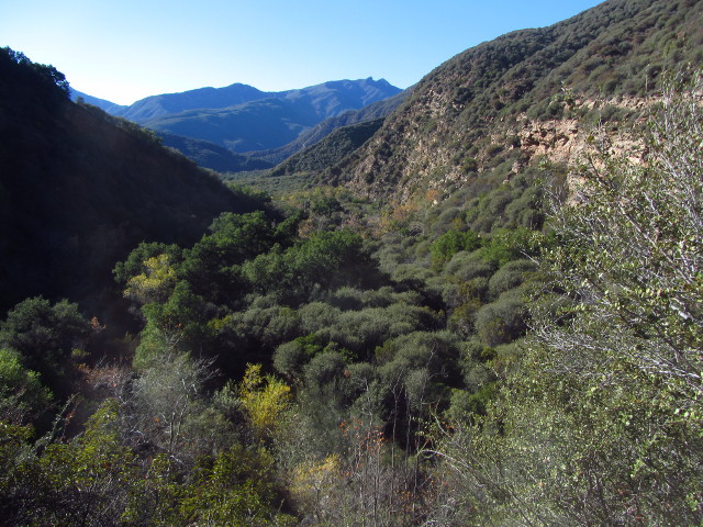 canyon overlook