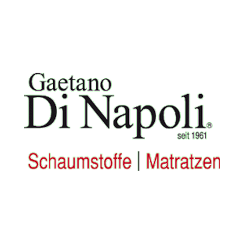 Gaetano Di Napoli logo