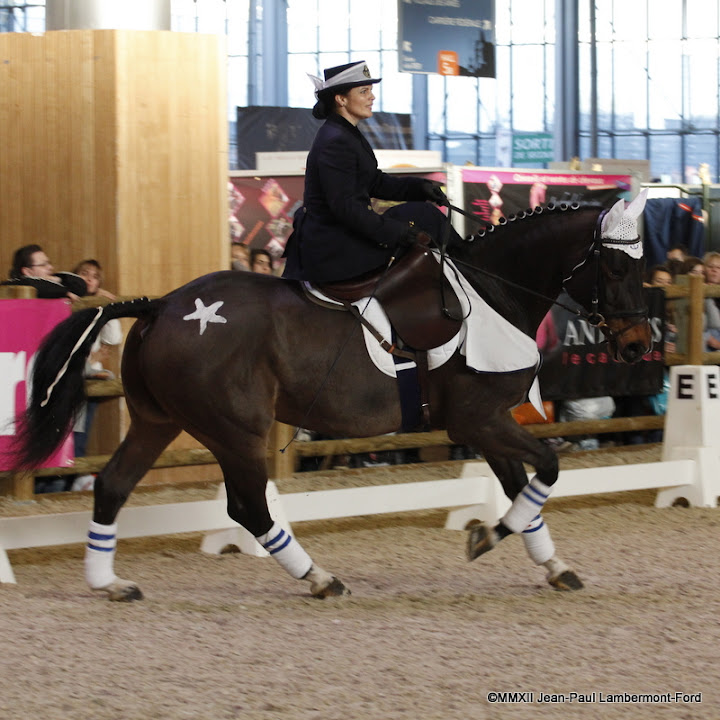 Salon du Cheval Paris 2012 - RLM - Première Partie JPLF_EOS%252060D_0485