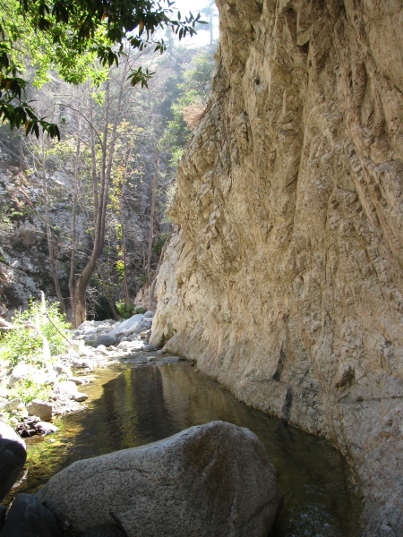 a little pool in Bear Canyon