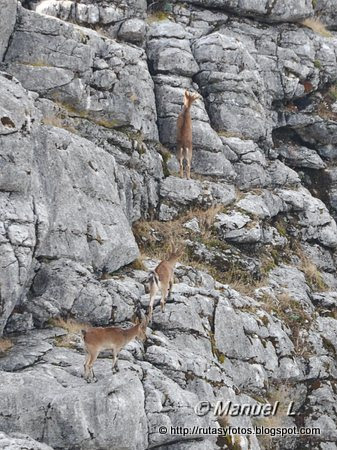 Peñón de Líbar