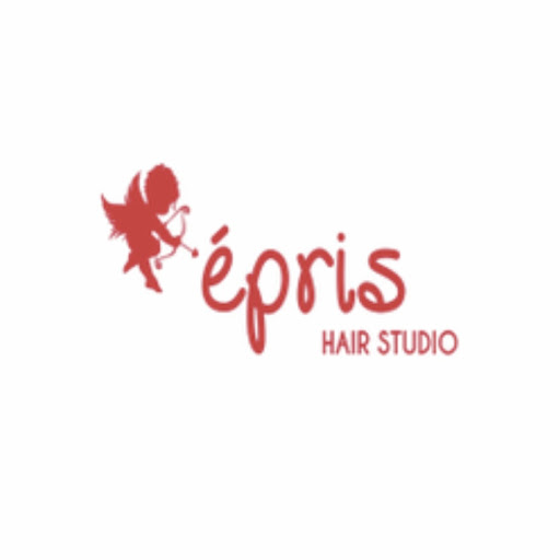Epris Korean Hair Studio