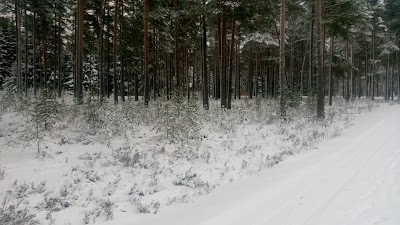 Photos of EKNK Lootuse K&uuml;la Kogudus
