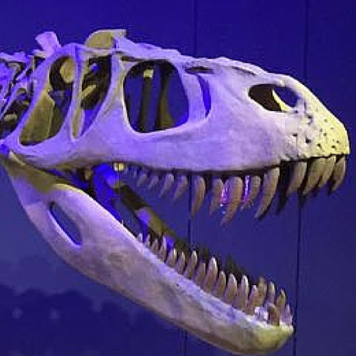 Mesalands Dinosaur Museum and Natural Sciences Laboratory logo