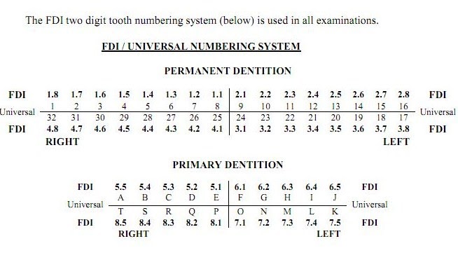 Canadian Tooth Numbering System