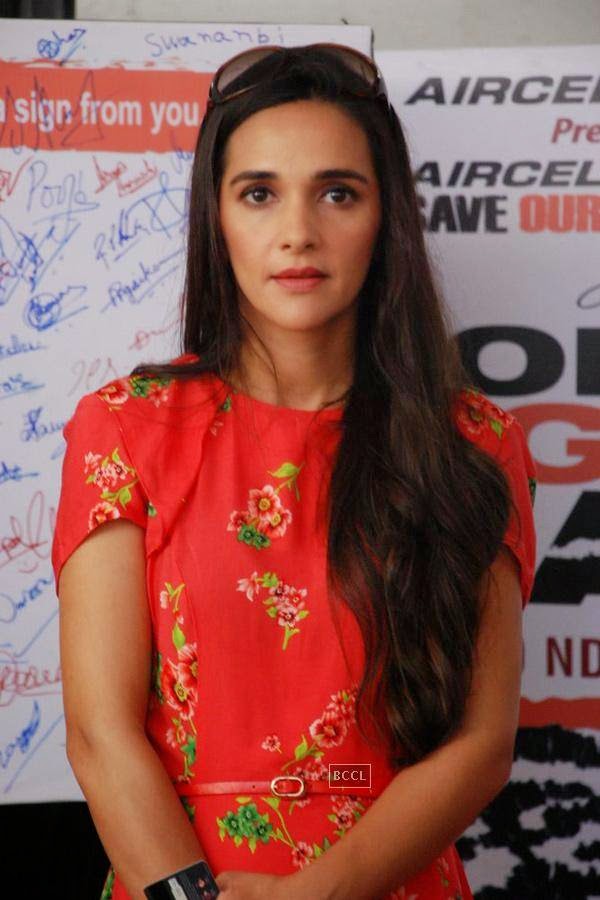 Tara Sharma during the Save Our Tigers, campaign, on the World Tiger Day in Mumbai,  on July 29, 2014. (Pic: Viral Bhayani)