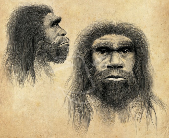 Homo neanderthalensis. Ilustración de Stuart Jackson-Carter.