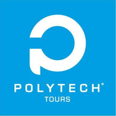 Polytech Tours - Départements Electronique et Mécanique logo