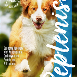 Replenish Pet Chiropractic and All natural dog products