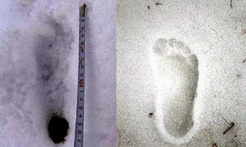 Japanese Climbers Find Himalayan Yeti Footprints In Nepal