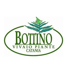 Vivaio Bottino logo