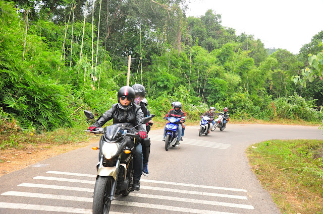 Review - Phượt Đà Lạt --> Suối Vàng ---> Thác Voi qua cung đường đèo Gia Bắc. - 29