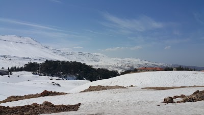Photos of St. Benard - Hotel