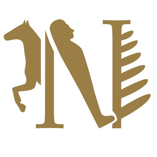 Museum - Naturalienkabinett Waldenburg logo